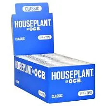 Houseplant by OCB w/ Tips