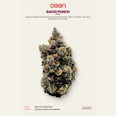 Bacio Punch 3.5g Dried Flower