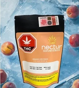 Organic Iced Peach Hash Rosin