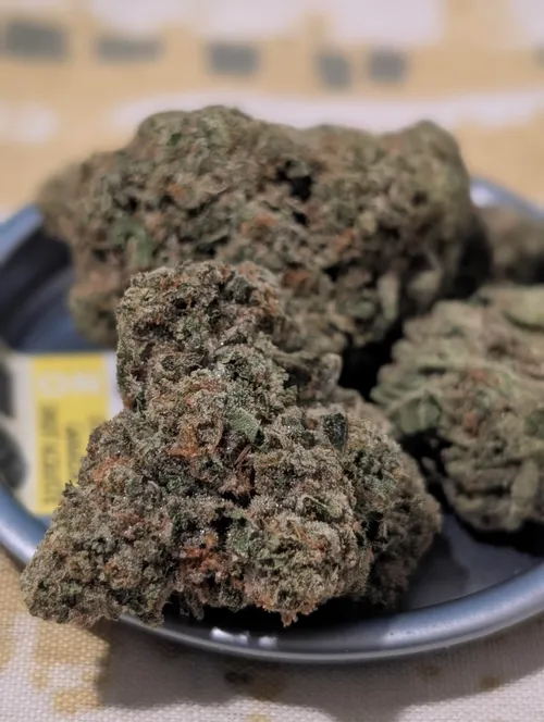 Georgia Pie Craft - 7g