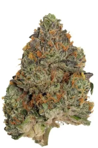 Blue Zushi - 14g