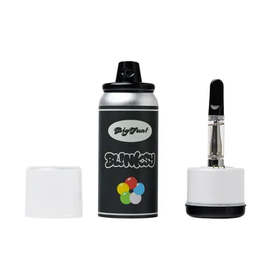 Big Fun Blinksy Spray Can Style 510 Battery