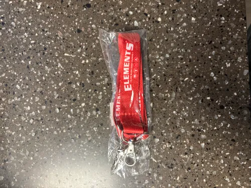 Lanyard