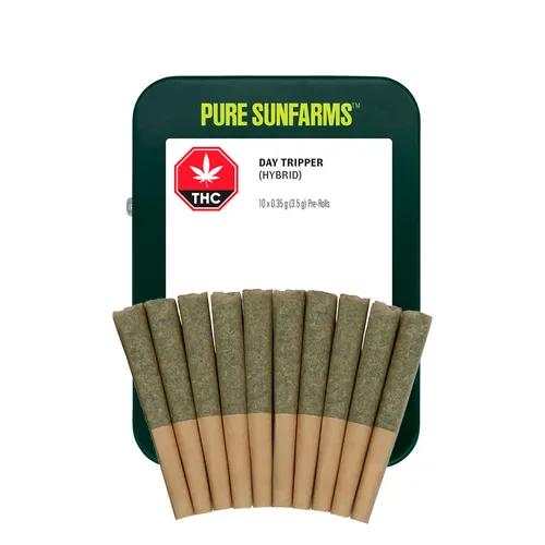 Day Tripper Pre-Roll