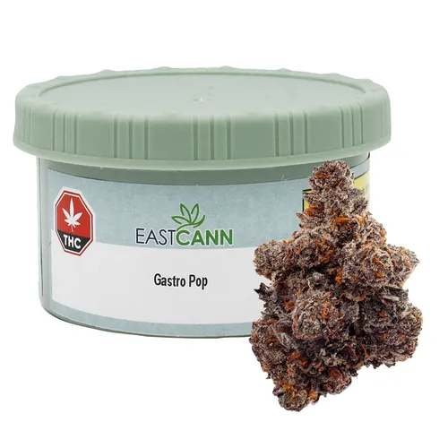 Gastro Pop