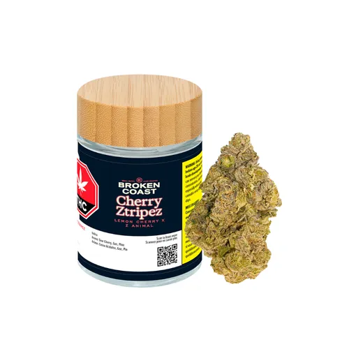 Cherry Ztripez