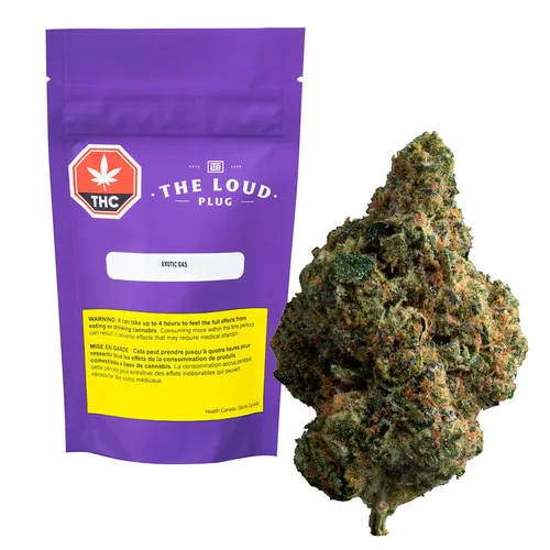 Exotic Gas