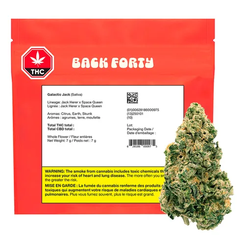 Galactic Jack