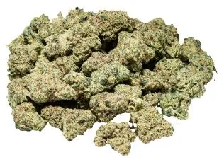 OZ - Kato's Revenge (Pink Jaguar - Crystal Caviar x Jager) OZ - Kato's Revenge (Pink Jaguar - Crystal Caviar x Jager)