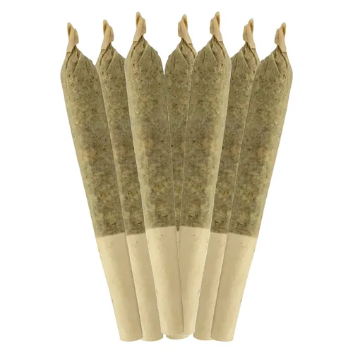 Sheeesh! - Trop Cherry Pre-Roll - 7x0.5g