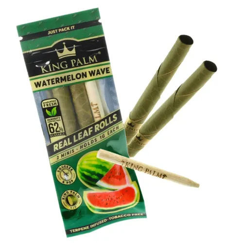 King Palm Watermelon Wave (2-Pack Mini)