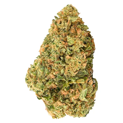 Gorilla Ghost