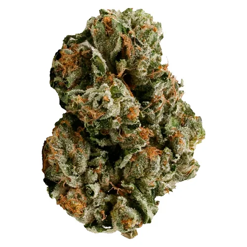 Pink Kush