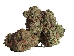 Limited Cultivar Series