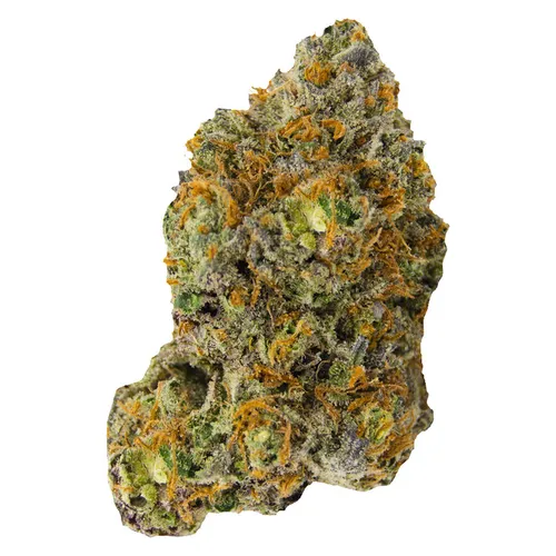 Versus - Variant - 14g