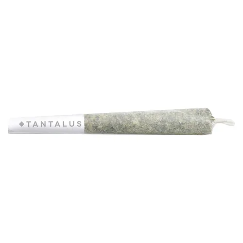 Wedding Crashers Pre-Roll