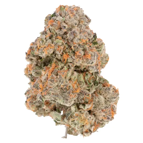 Noodz - Jungle Fire - Jungle Fire 3.5g Dried Flower