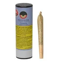 Timewarp 1x1g Pre-Roll