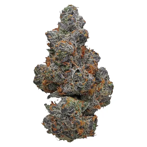 POTLUCK Apple Fritter 7g