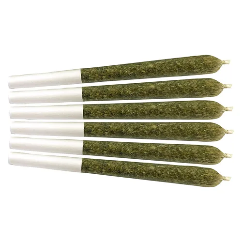 Woof Walkers Pre-Roll