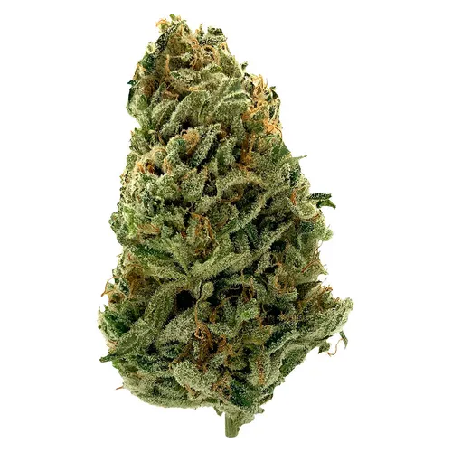 LowKey by MTL Cannabis - Haze - 3.5g LowKey by MTL Cannabis - Haze - 3.5g