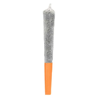 Mango Hurricane Infused Pre-Roll