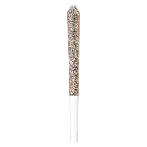Trainwreck Pre-Roll