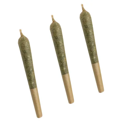 Citrus Tsunami Pre-Roll