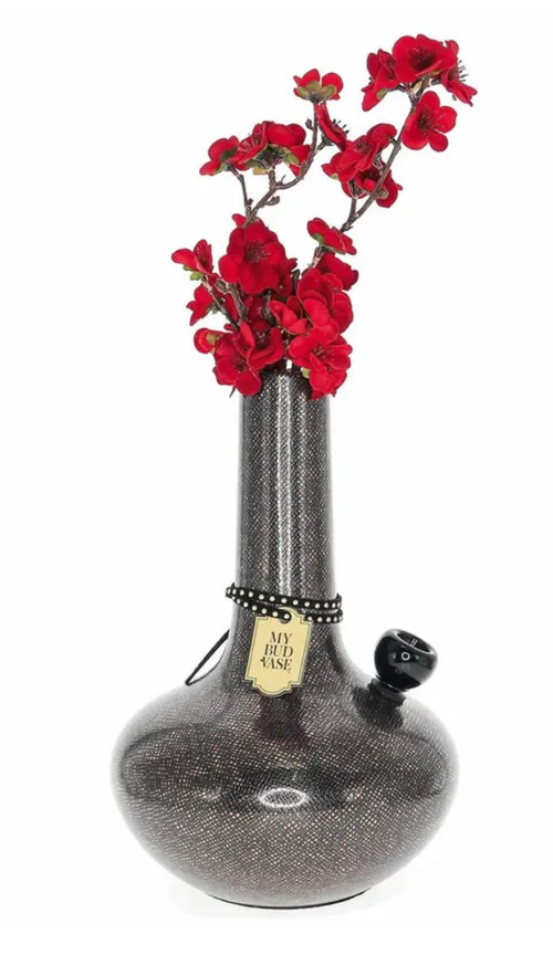 My bud Vase bong - Burmese
