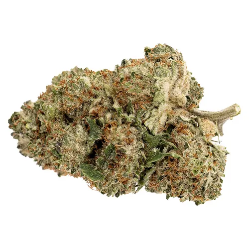 Pink Rhino (Pink Kush x White Rhino)