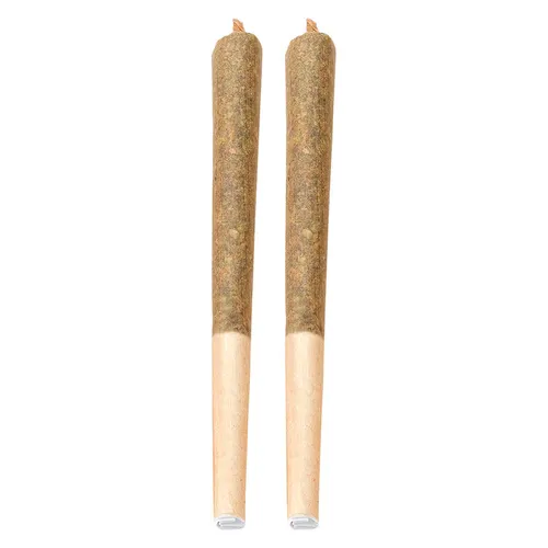 Midnight Ride Pre-Roll