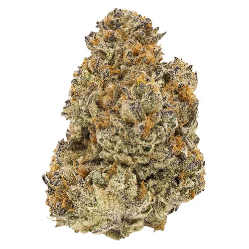 FIGR - Chatty Kathy - Chatty Kathy 3.5g Dried Flower FIGR - Chatty Kathy - Chatty Kathy 3.5g Dried Flower