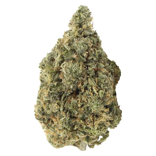 Carmel - Bubblegum Marker 14g