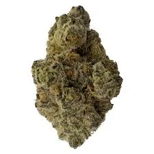 The Florist Deep Fried Cookie Dough Dried Flower