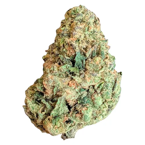 BC Organic Lime Drizzle (Caviar Lime x Papaya Dawg) BC Organic Lime Drizzle (Caviar Lime x Papaya Dawg)