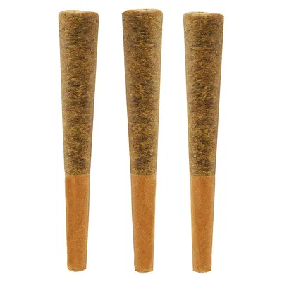 Jungle Fire Pre-Roll