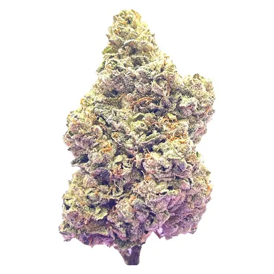 Royal Dive #7: Scarface OG
