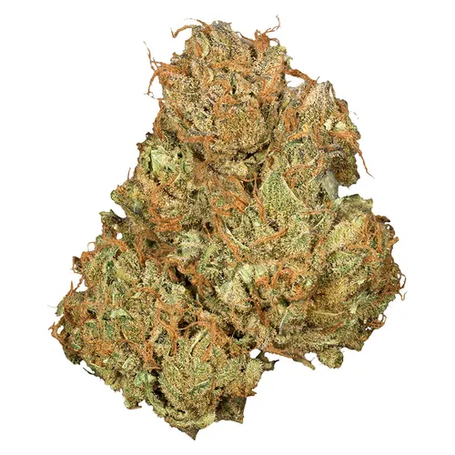 Orchid CBD - Jean Guy CBD - Jean Guy CBD 3.5g Dried Flower