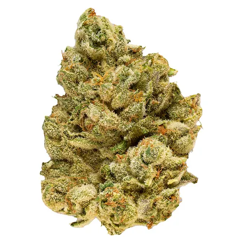 BROKEN COAST Emergen Z (Sunset SherbetxOrange Push Pop) 7g
