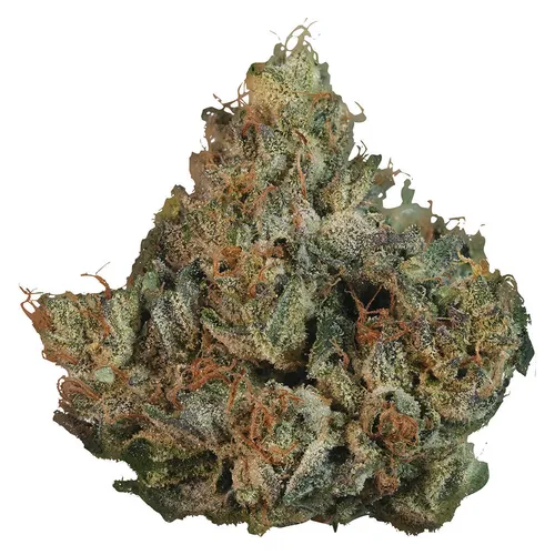 KWALL - Death Bubba - Death Bubba 3.5g Dried Flower KWALL - Death Bubba - Death Bubba 3.5g Dried Flower