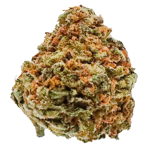 Banana Cream 7g Dried Flower