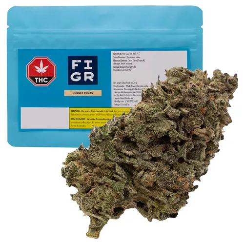 Jungle Fumes