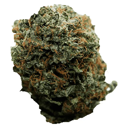 Milkyway - Alien Mintz (Alien Cookies x Kush Mints #11) Milkyway - Alien Mintz (Alien Cookies x Kush Mints #11)