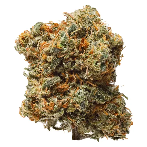 1964 - Blue Dream Dried Flower