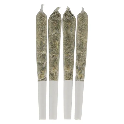 Tropical Pocket Puffs Pre-Roll