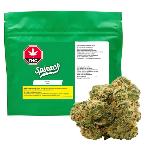 Blue Thai
