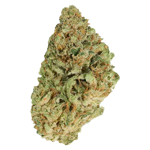 Good Supply - Jean Guy - Jean Guy 3.5g Dried Flower Good Supply - Jean Guy - Jean Guy 3.5g Dried Flower