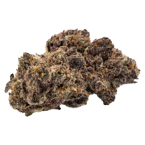 SUMO - Pheno Hybrid -3.5g SUMO - Pheno Hybrid -3.5g