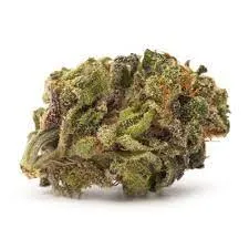 BACK FORTY Super Lemon Haze 1g
