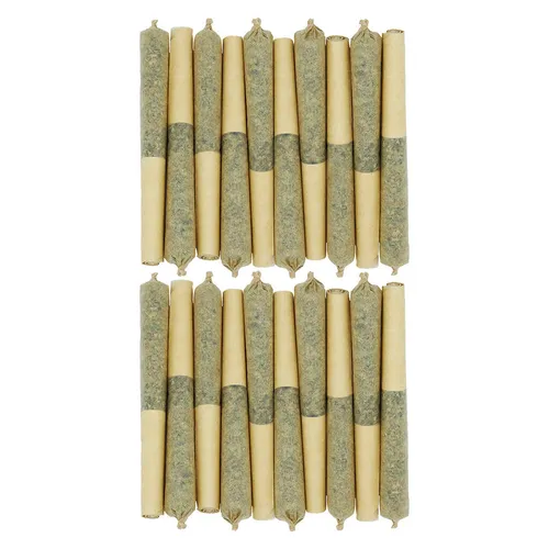 Starting Point! - Star Chase Pre-Roll - 10x0.35g